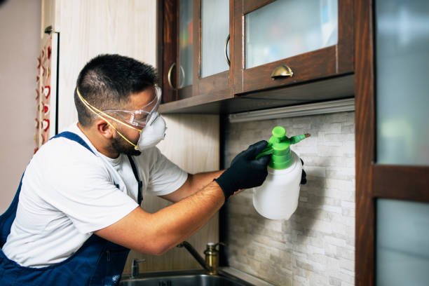 Best Local Pest Control Services  in Fontana, CA