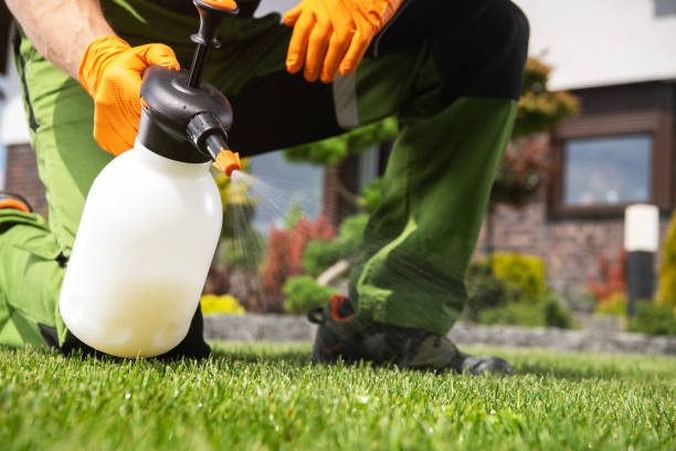 Professional Pest Control in Fontana, CA