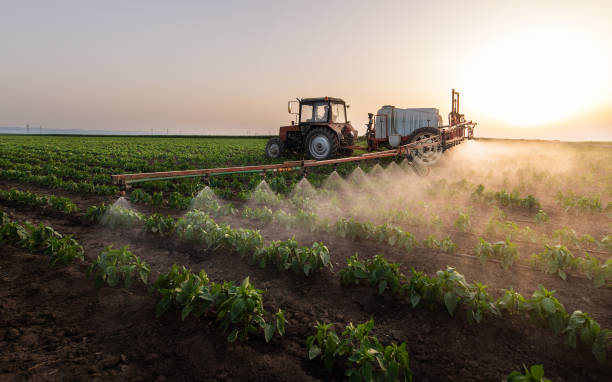 Best Wildlife Control Services  in Fontana, CA