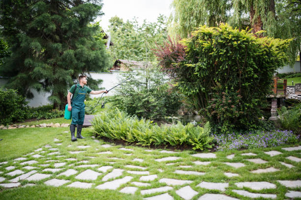 Best Insect Control  in Fontana, CA