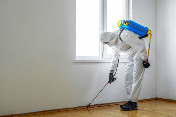 Best Pest Prevention Services  in Fontana, CA