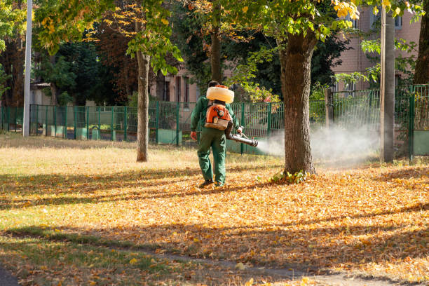 Best Rodent Control Near Me  in Fontana, CA