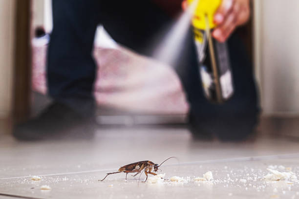 Best Best Pest Control Companies  in Fontana, CA