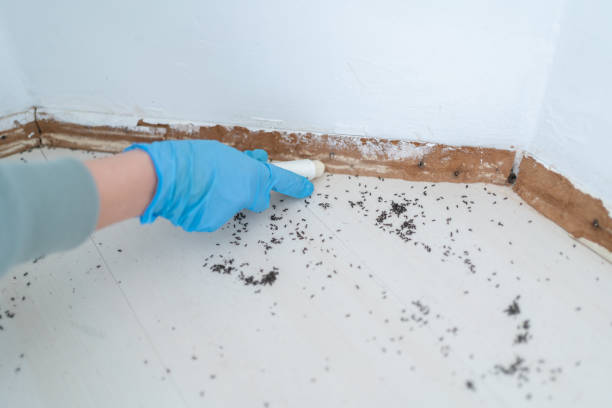 Best Pest Inspection Near Me  in Fontana, CA