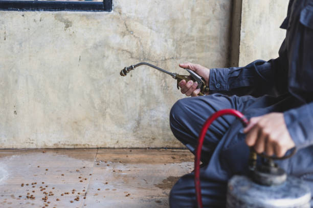 Best Residential Pest Control  in Fontana, CA