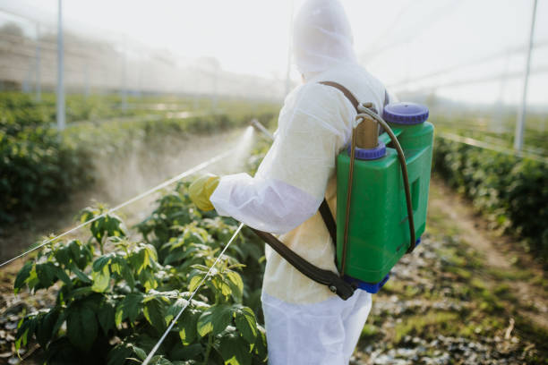Flea Control Services in Fontana, CA